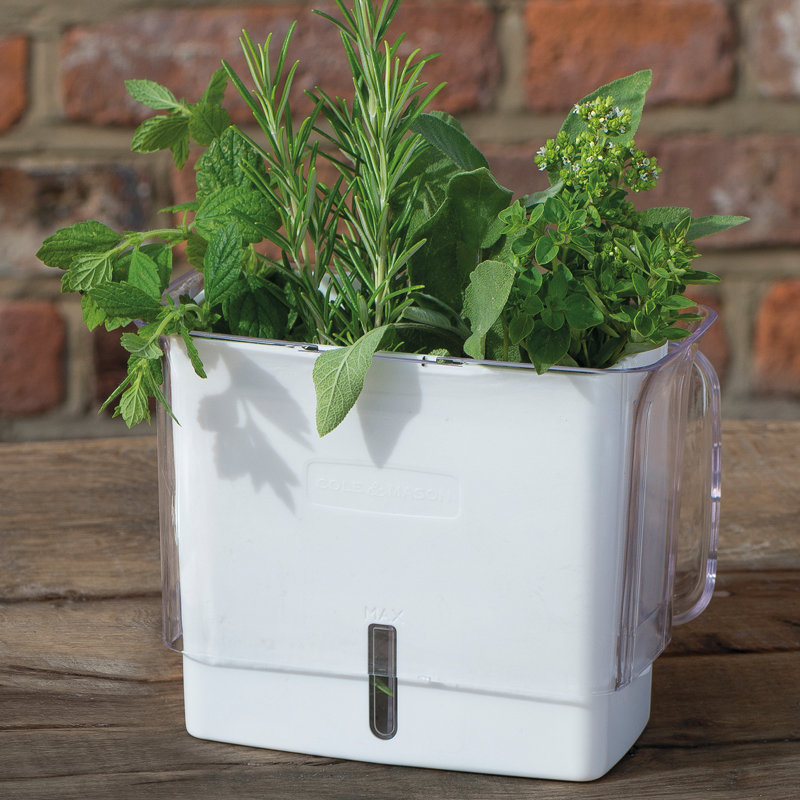 Cole & Mason Fresh Herb Keeper Plastic Pot Planter & Reviews Wayfair.ca